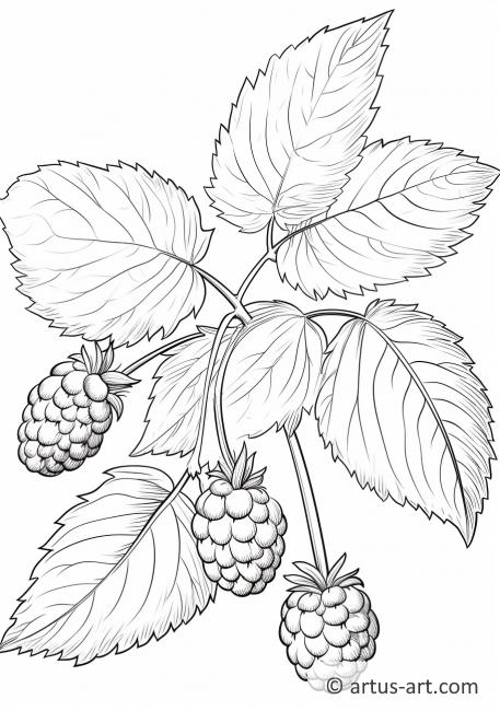 Raspberry Leaves Coloring Page